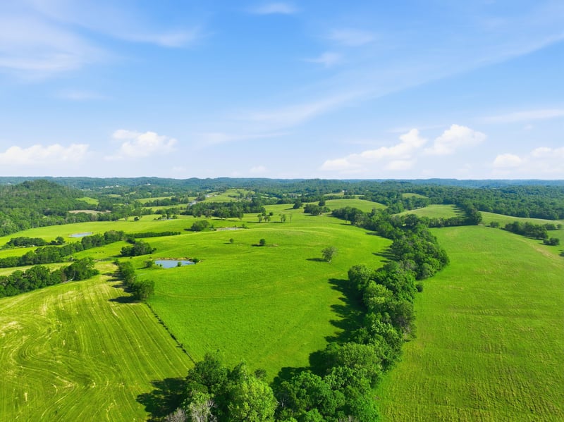 5 Deshea Creek Rd, Gallatin, TN 37066