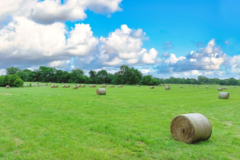 6 Deshea Creek Rd, Gallatin, TN 37066