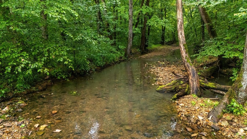 0 Furnace Hollow Rd, Dickson, TN 37055