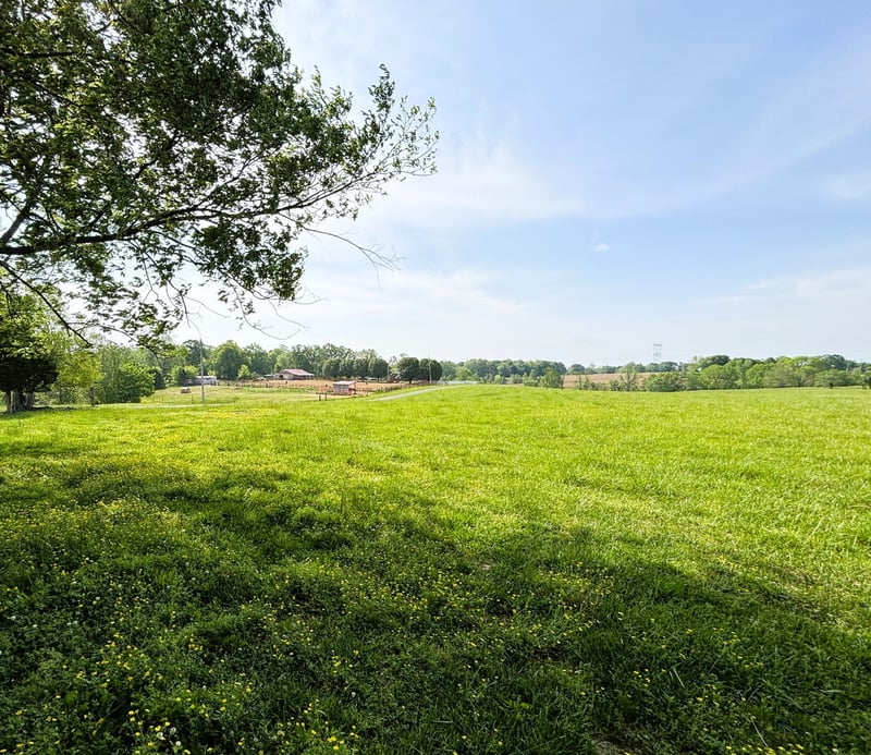 7373 New Chapel Rd, Springfield, TN 37172