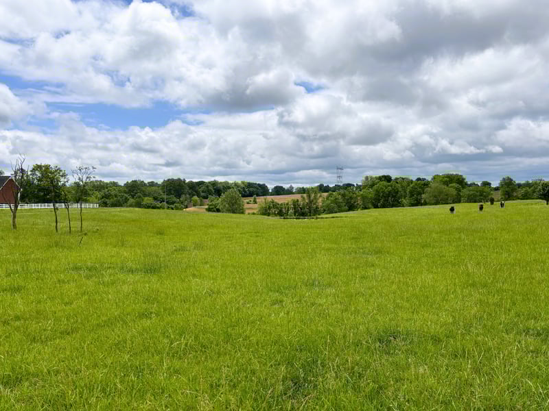 7373 New Chapel Rd, Springfield, TN 37172