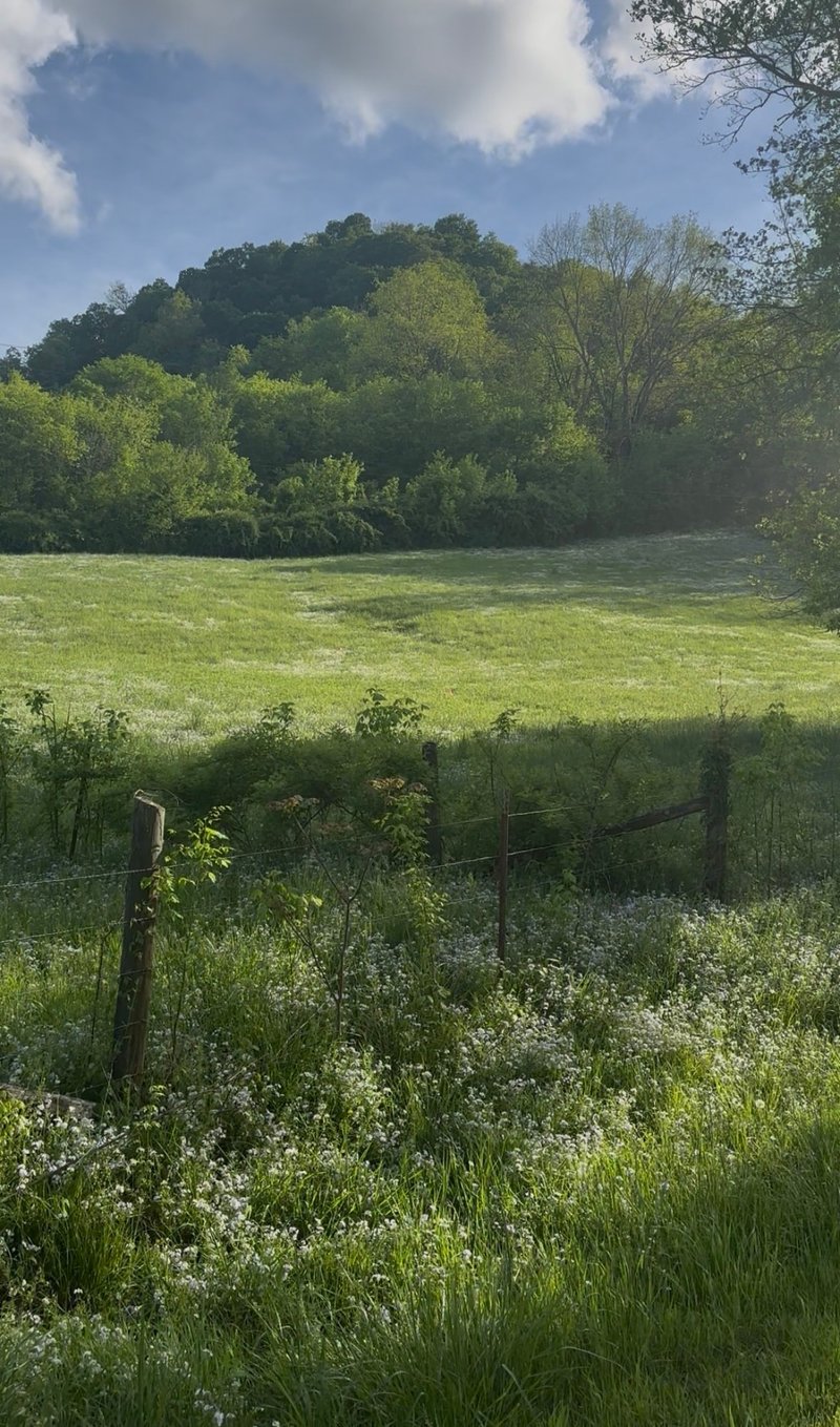 Little Salt Lick Rd, Carthage, TN 37030