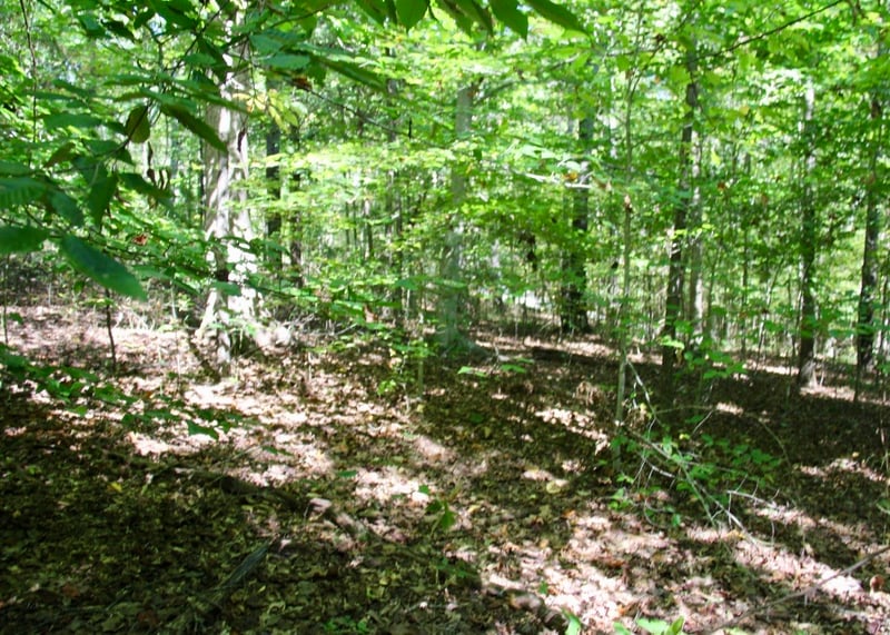 0 Flicker Ct, Kingston Springs, TN 37082