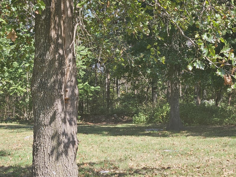 1631 Quarry Rd, Mount Juliet, TN 37122