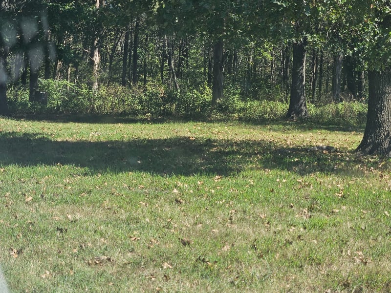 1631 Quarry Rd, Mount Juliet, TN 37122