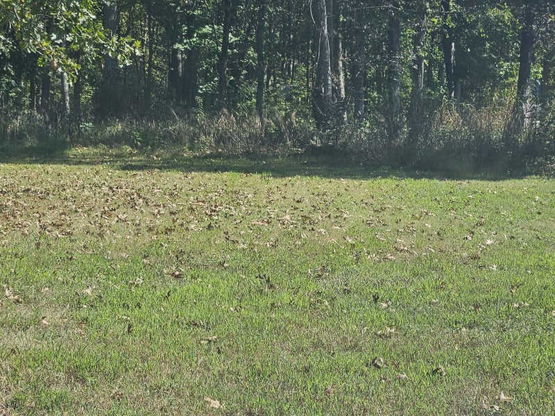 1631 Quarry Rd, Mount Juliet, TN 37122