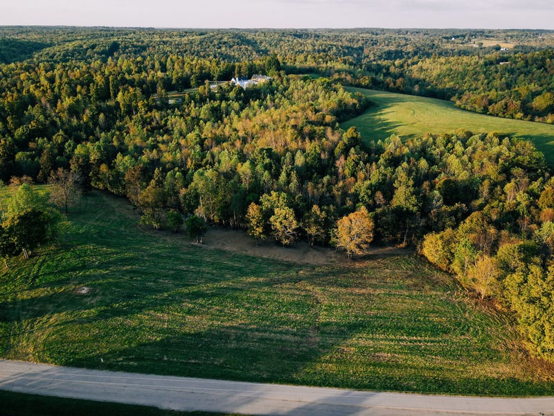 7810 W Lick Creek Rd, Primm Springs, TN 38476