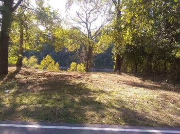 Pennington Bend Rd, Nashville, TN 37214