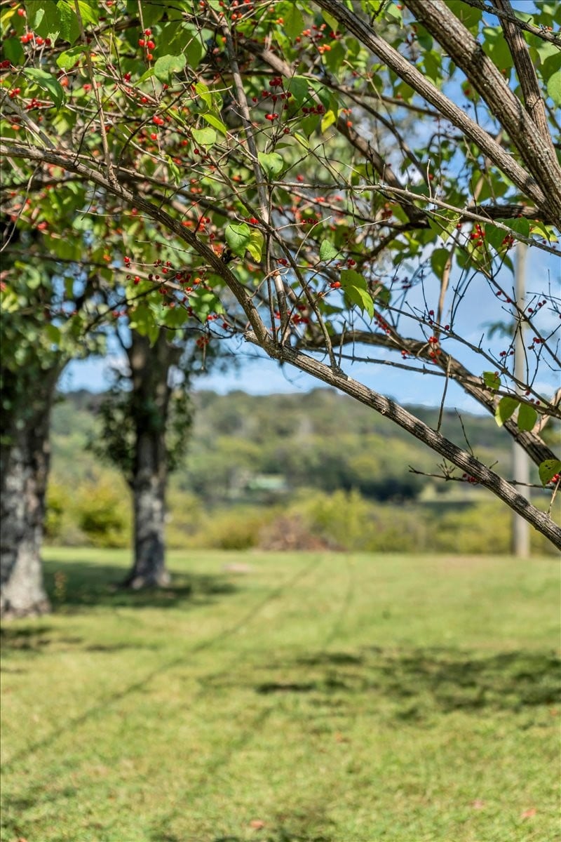 22 Mcginnis Ln, Brush Creek, TN 38547