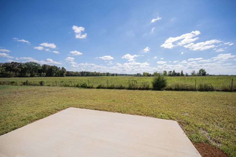 3407 Stonehorn Dr, Bell Buckle, TN 37020