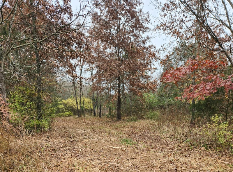 4230 Peytonsville Trinity Rd, Franklin, TN 37064