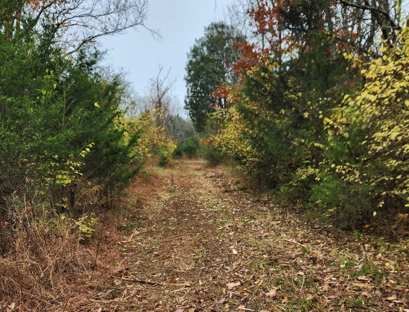 4230 Peytonsville Trinity Rd, Franklin, TN 37064