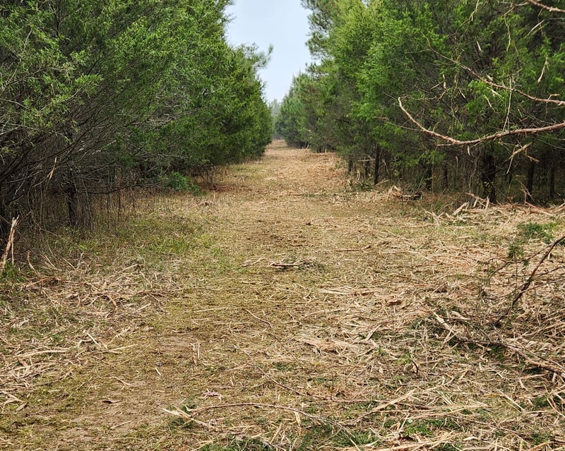 4230 Peytonsville Trinity Rd, Franklin, TN 37064