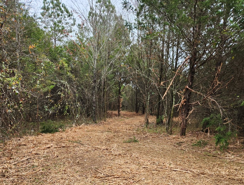 4230 Peytonsville Trinity Rd, Franklin, TN 37064