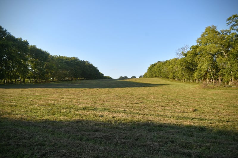 2 Mount Joy Rd, Mount Pleasant, TN 38474