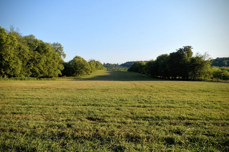 1 Mount Joy Rd, Mount Pleasant, TN 38474