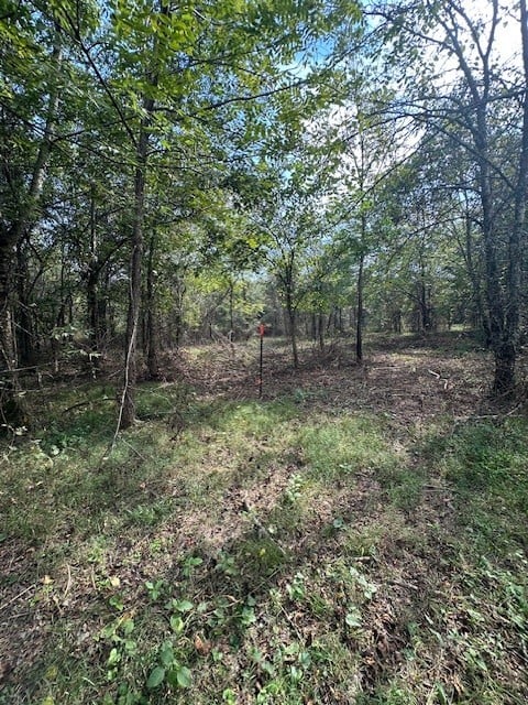 8919 Carlton Rd, Christiana, TN 37037