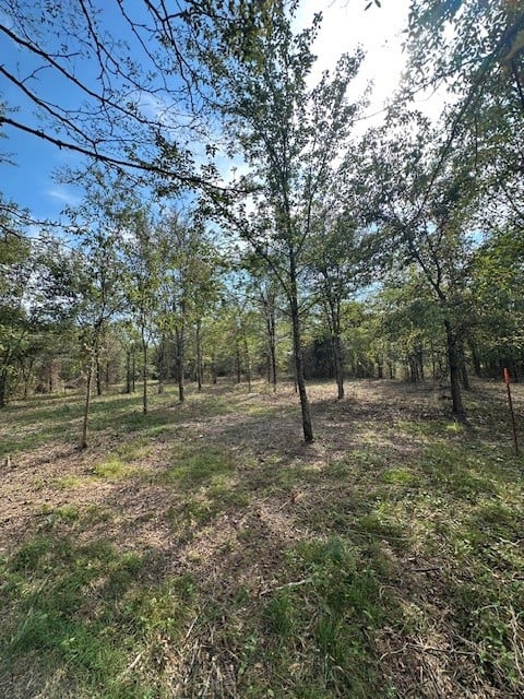 8919 Carlton Rd, Christiana, TN 37037