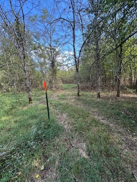 8919 Carlton Rd, Christiana, TN 37037