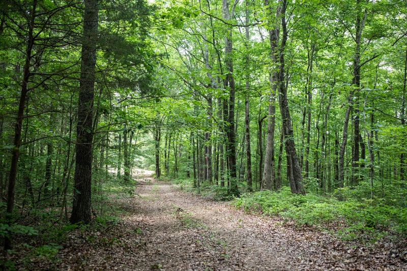 5450 Old Highway 96, Franklin, TN 37064