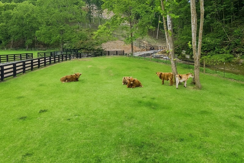 1020 Bison Rdg, Joelton, TN 37080