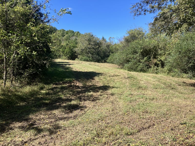 3411 Booker Ridge Rd, Mount Pleasant, TN 38474