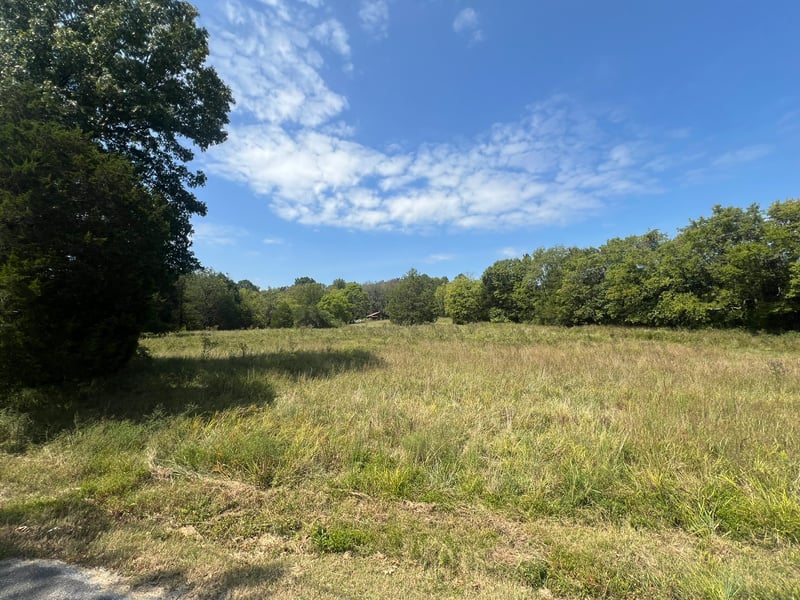 910 Campsite Rd, Castalian Springs, TN 37031
