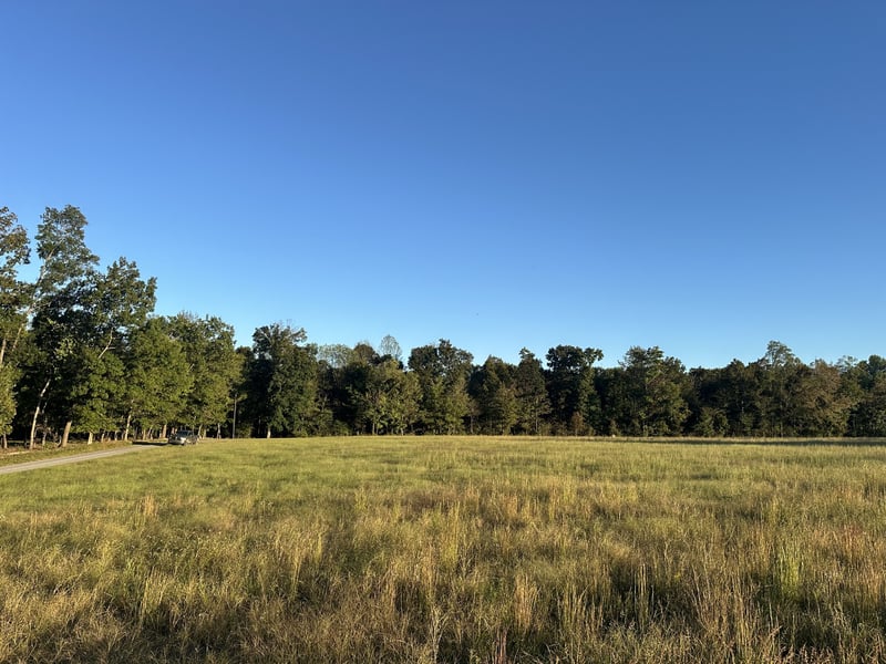 0 Annie Hollow Rd, Westmoreland, TN 37186