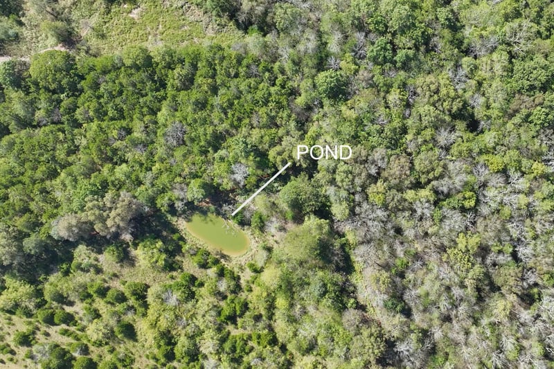 9919 Maupin Rd, Brentwood, TN 37027