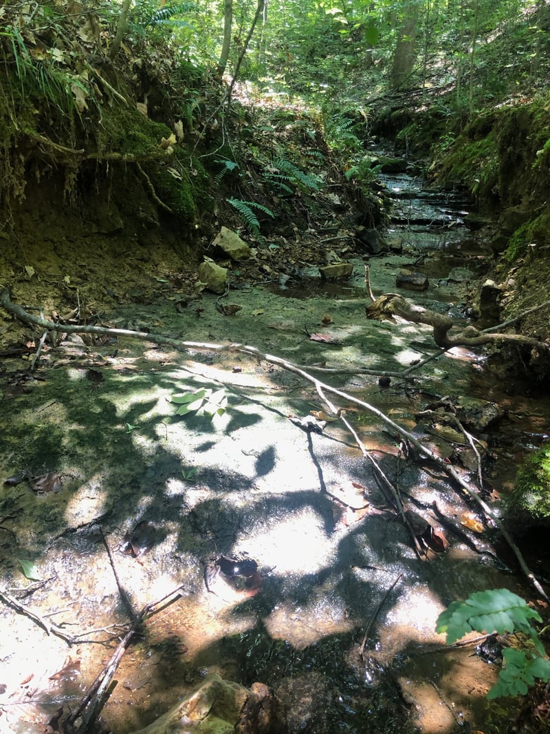 0 Jackson Cabin Rd, Kingston Springs, TN 37082