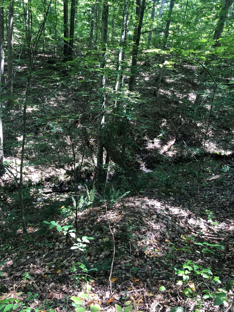 0 Jackson Cabin Rd, Kingston Springs, TN 37082