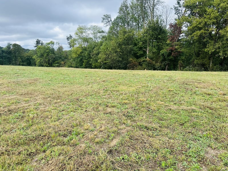 7 Annie Hollow Rd, Westmoreland, TN 37186