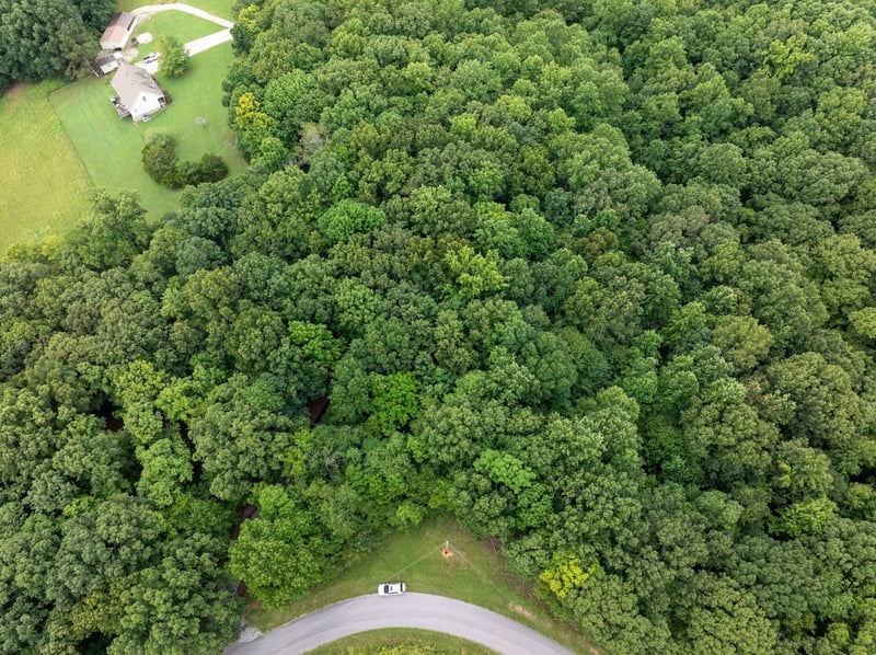 0 Cedar Hill Rd, Vanleer, TN 37181