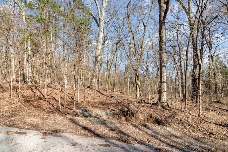 1009 Scramblers Knob, Franklin, TN 37069