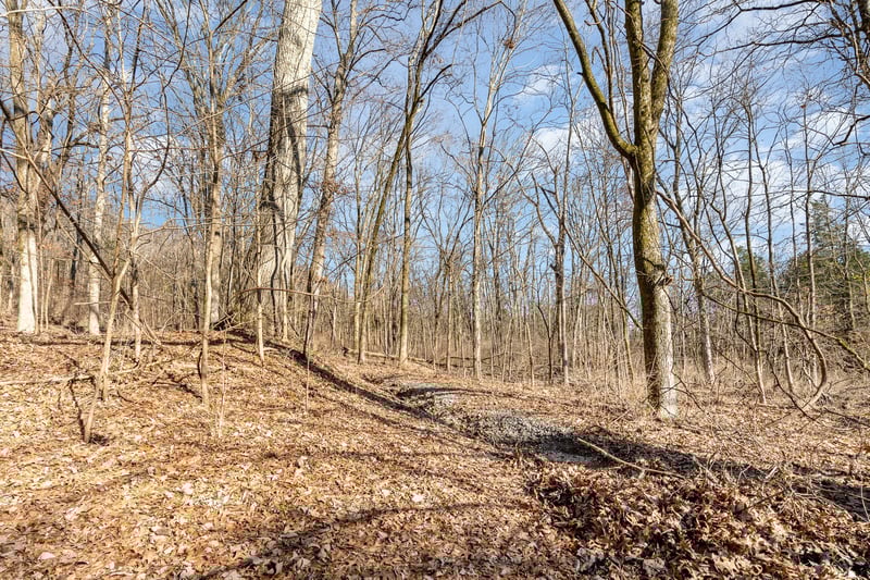 1009 Scramblers Knob, Franklin, TN 37069