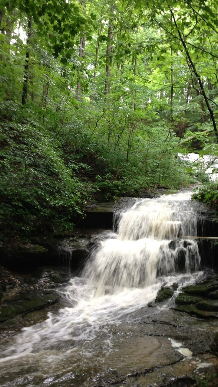 3575 Tyree Springs Rd, Hendersonville, TN 37075