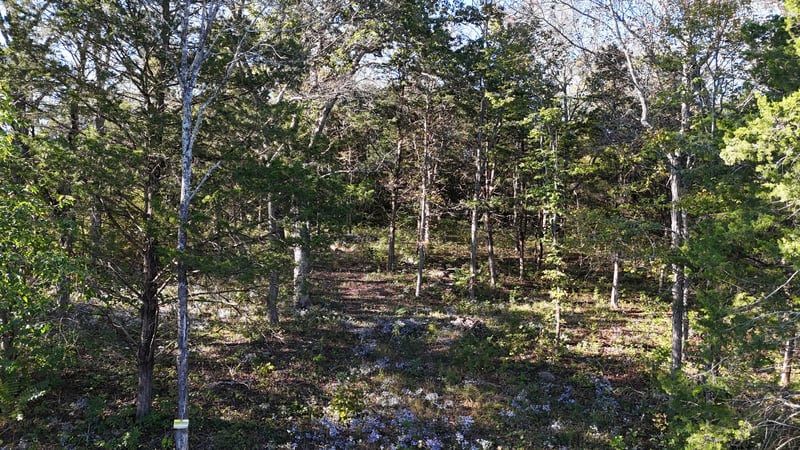 611 Baxter Rd, Murfreesboro, TN 37130