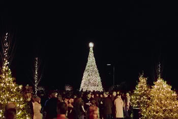 800 Horizon Dr, Franklin, TN 37064