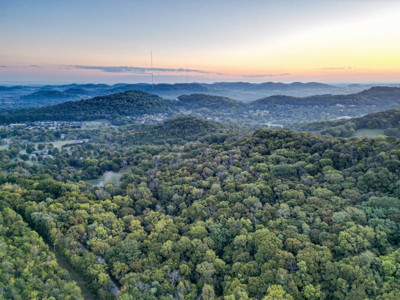 538 Beech Creek Rd, Brentwood, TN 37027
