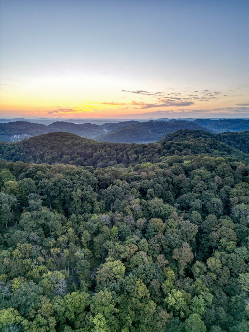 538 Beech Creek Rd, Brentwood, TN 37027