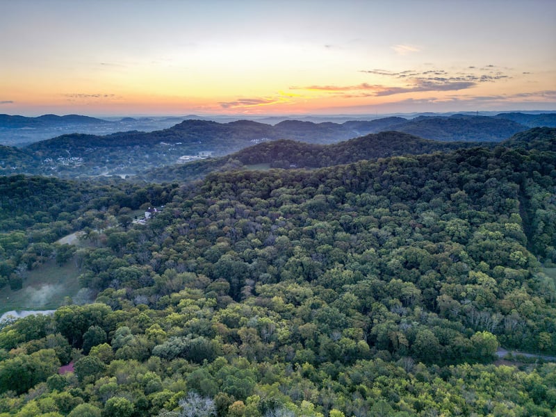 538 Beech Creek Rd, Brentwood, TN 37027