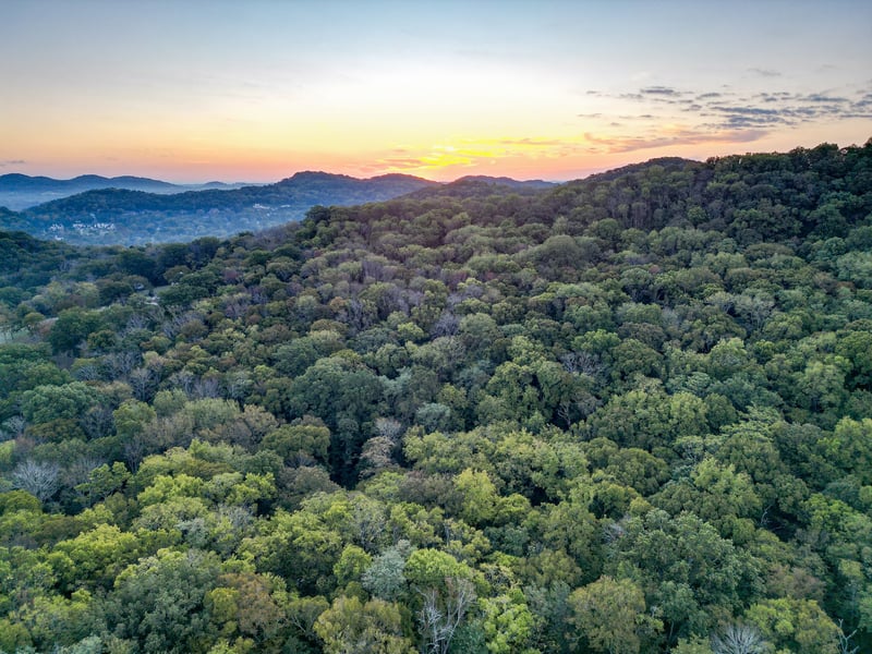 538 Beech Creek Rd, Brentwood, TN 37027