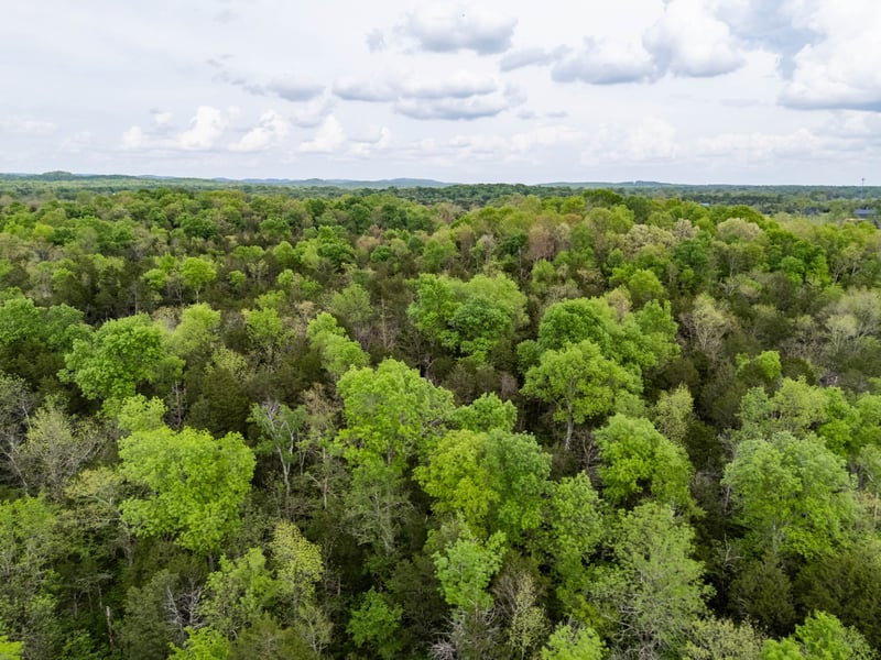 0 Kedron Road Tract 2, Spring Hill, TN 37174