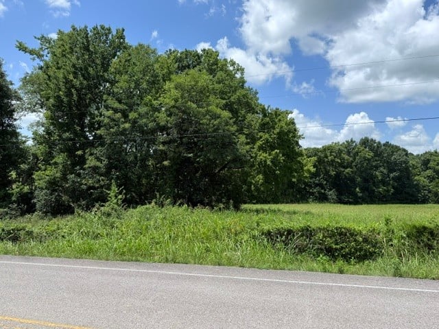Cross Keys Rd, College Grove, TN 37046