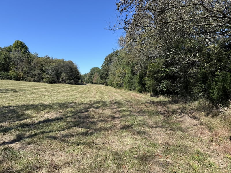 0 Cross Keys Rd, College Grove, TN 37046