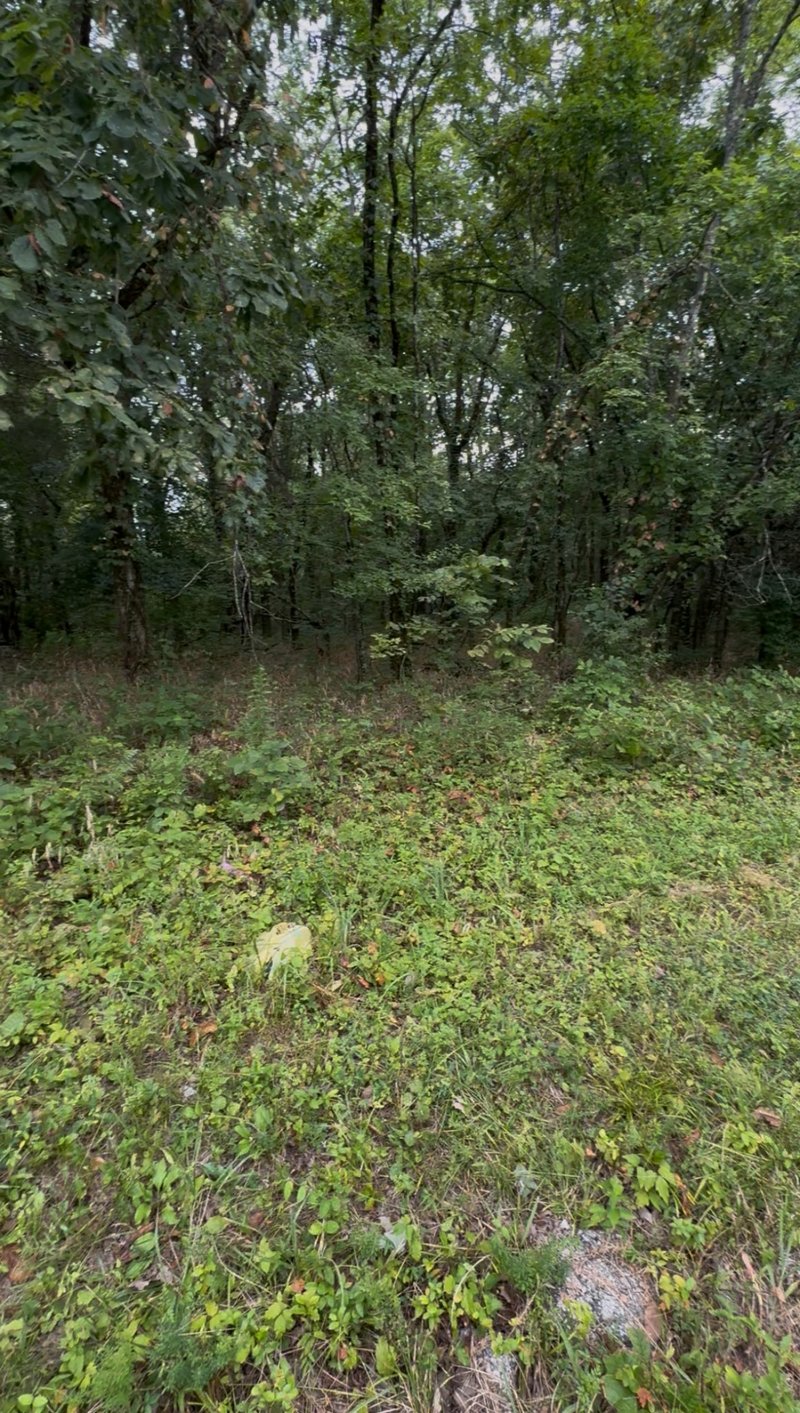 6472 Arno College Grove Rd, College Grove, TN 37046