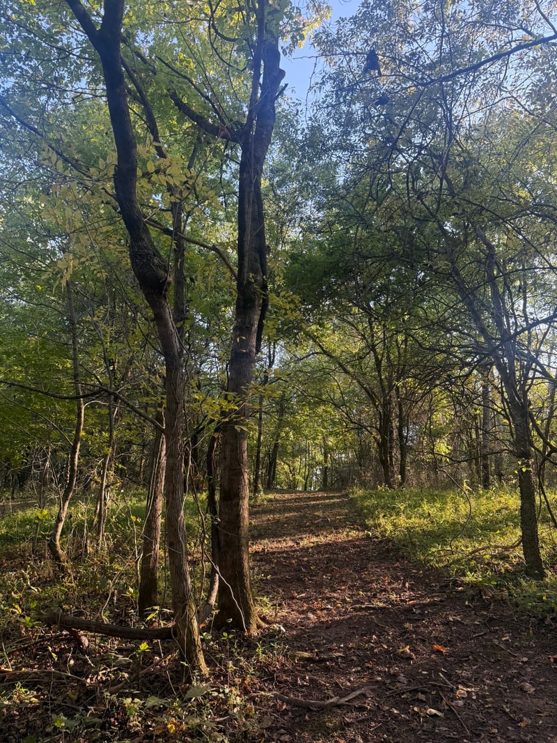 0 Rock Springs Rd, Columbia, TN 38401