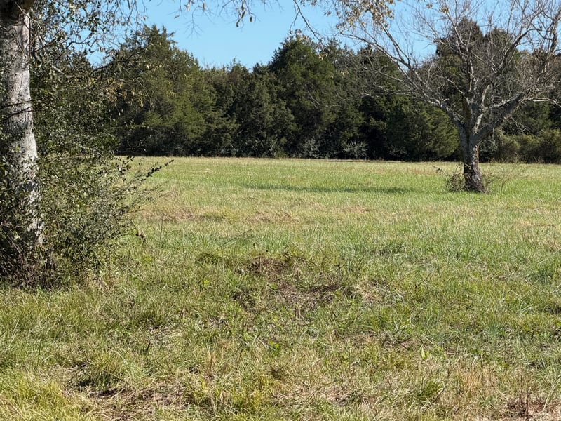 13447 Harrison Ln, Bell Buckle, TN 37020