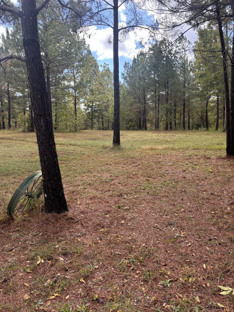 280 Baptist Branch Rd, Mount Pleasant, TN 38474