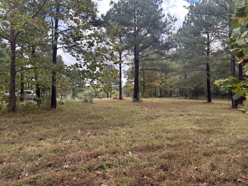 280 Baptist Branch Rd, Mount Pleasant, TN 38474